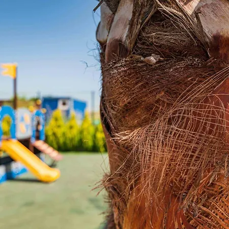 Sea 21 דירה בורגאס